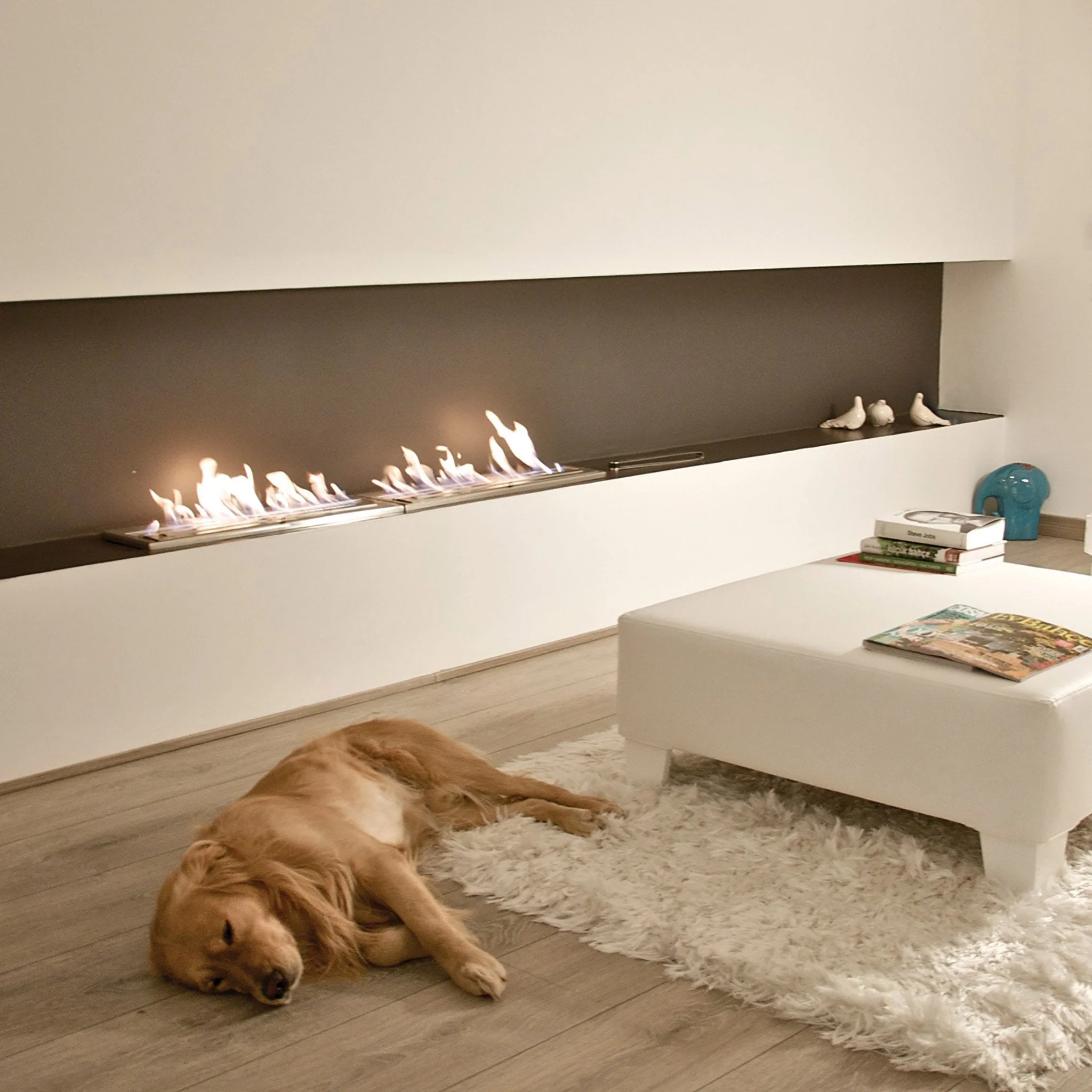 EcoSmart Fire XL Bioethanol Burner - Image 7