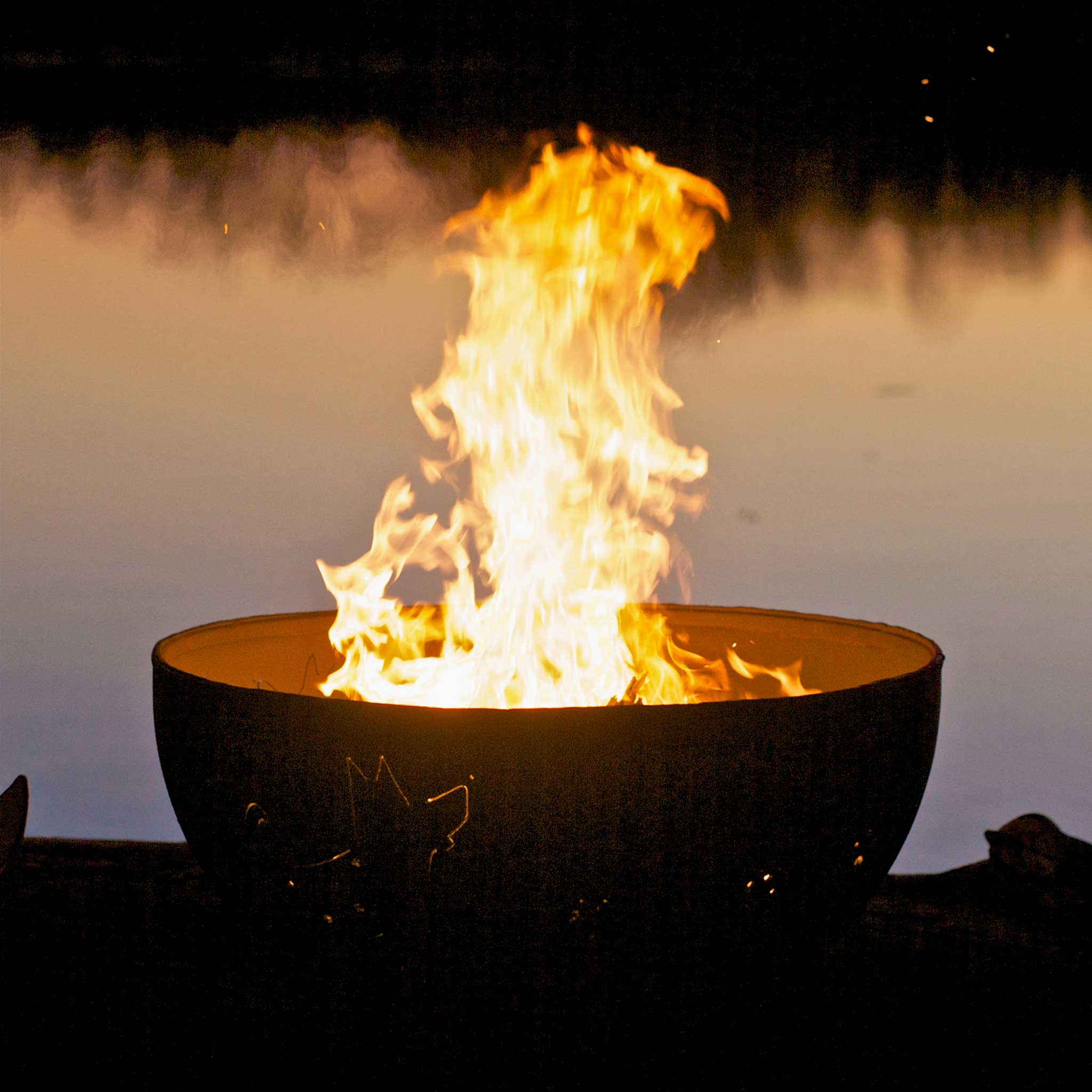 Fire Pit Art Funky Dog Fire Pit - Image 3
