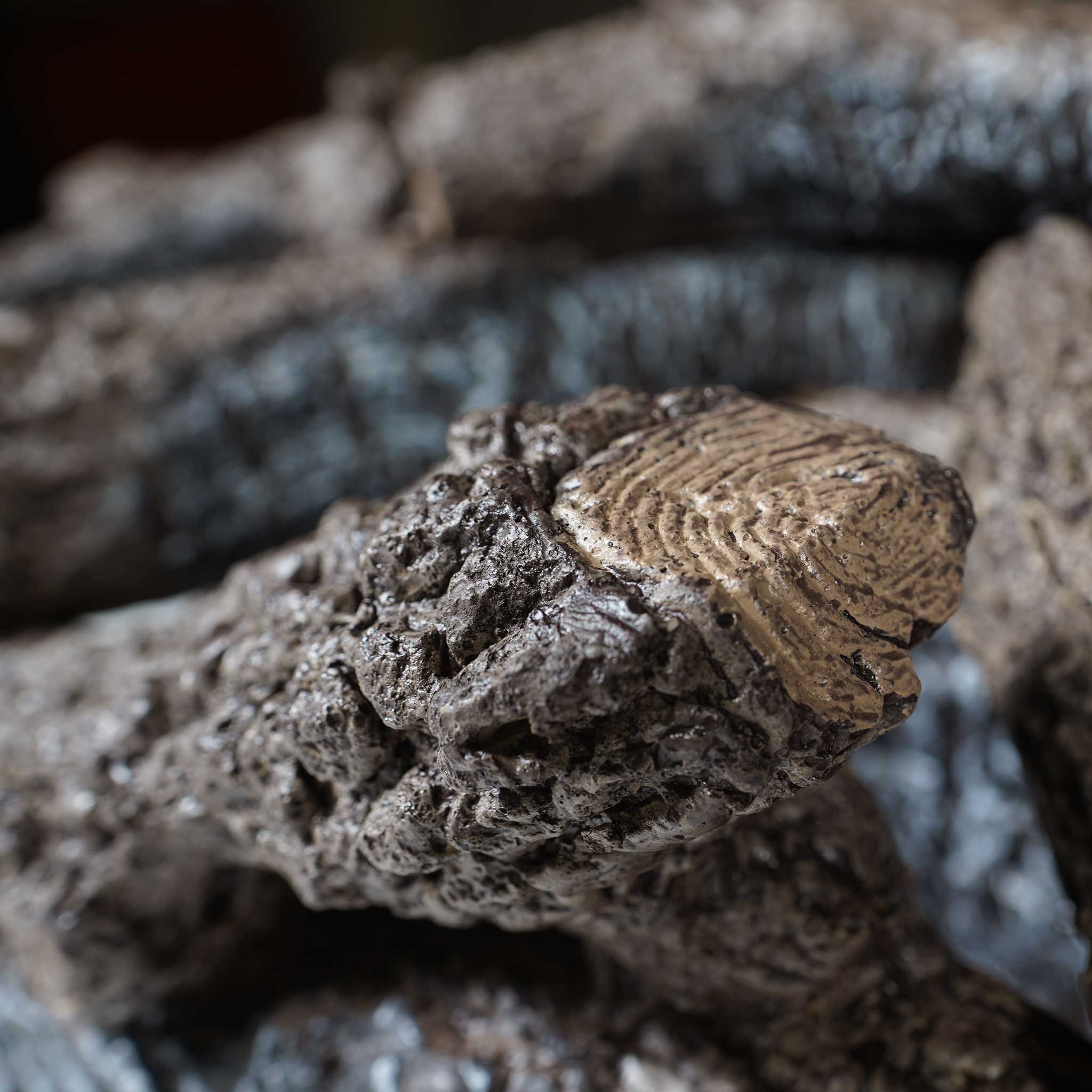 Vent-Free Gas Logs Charred Frontier Oak by Real Fyre - Image 9
